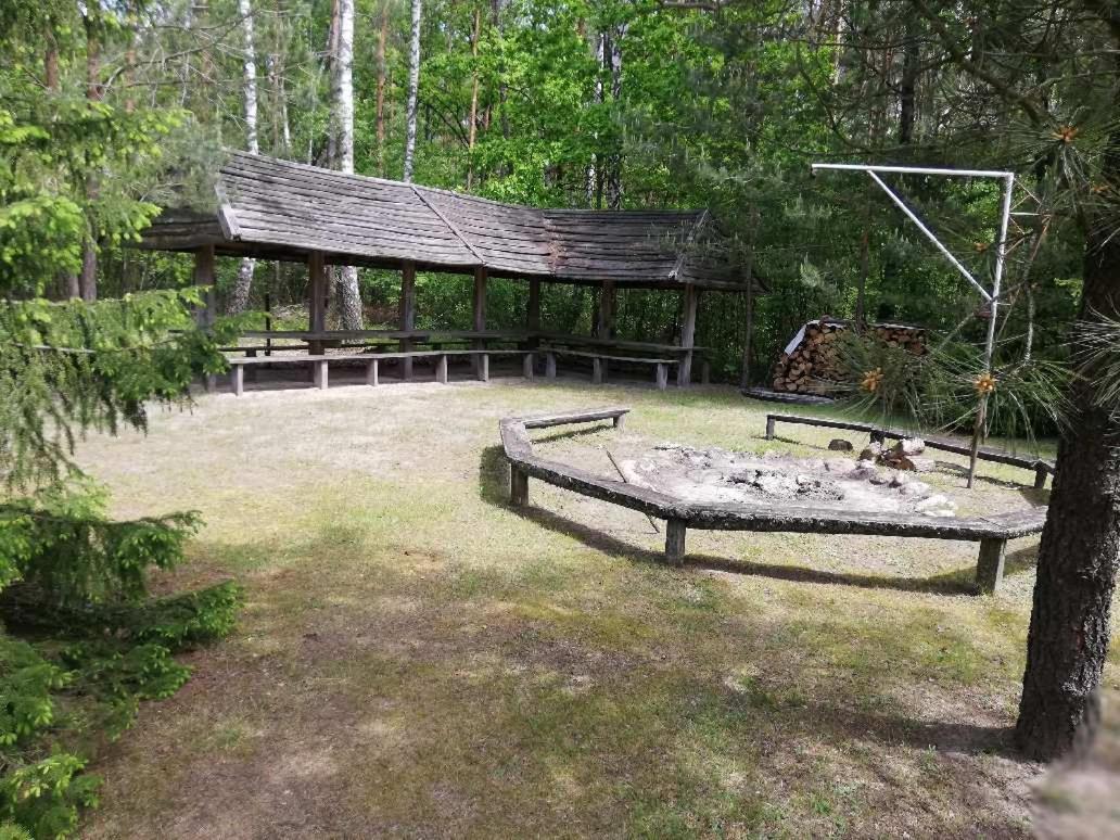 Agroturystyka "Lesne Zacisze Na Podlasiu" Tuczna Exteriör bild